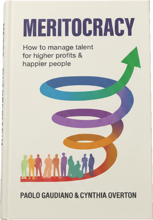 Meritocracy book cover